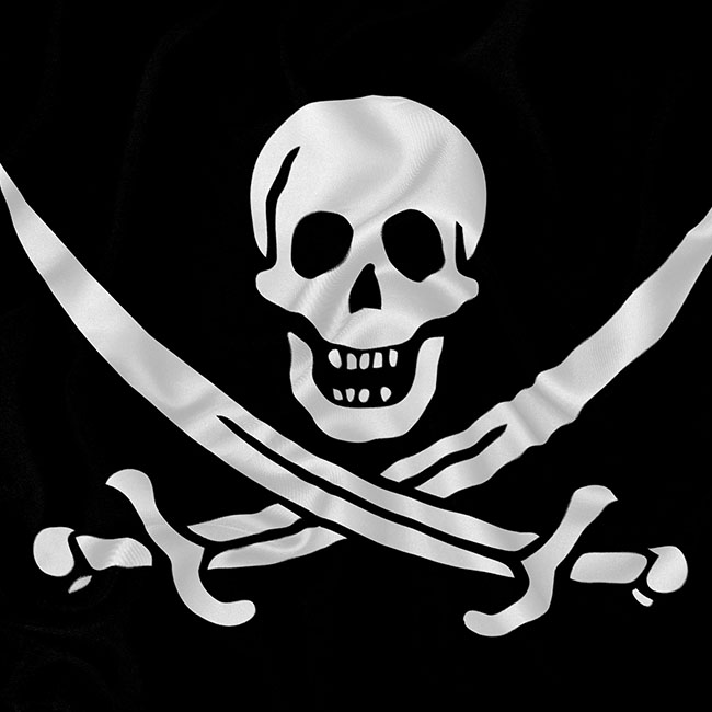 Pirate Flag